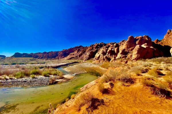 Spring Saint George Family Vacation 2