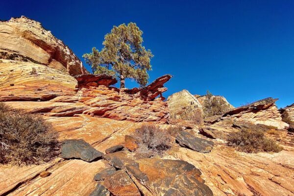 Family Fun in Saint George